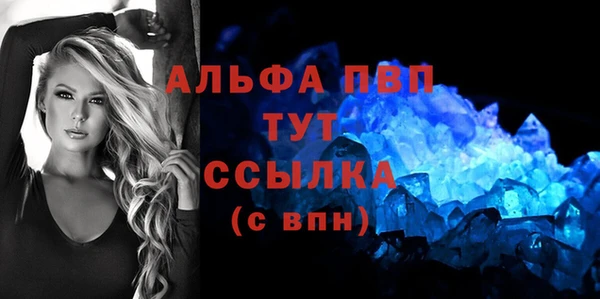 гидра Новозыбков