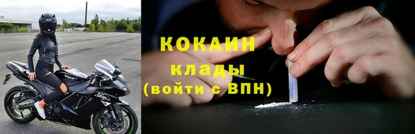 гидра Новозыбков