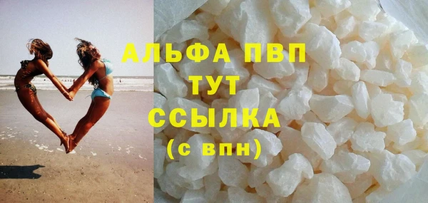 гидра Новозыбков