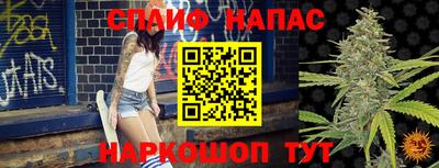 мяу мяу мука Беслан