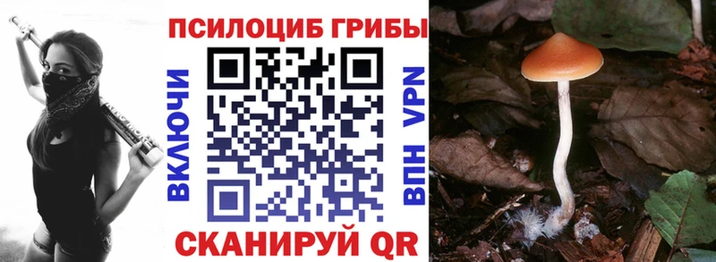 Галлюциногенные грибы мухоморы  где продают наркотики  Электрогорск 