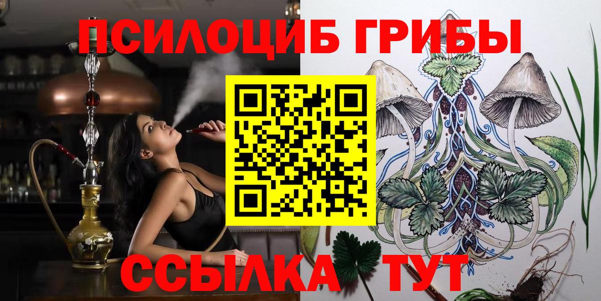 Галлюциногенные грибы GOLDEN TEACHER Электрогорск