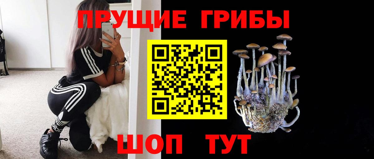 Псилоцибиновые грибы Psilocybine cubensis Электрогорск